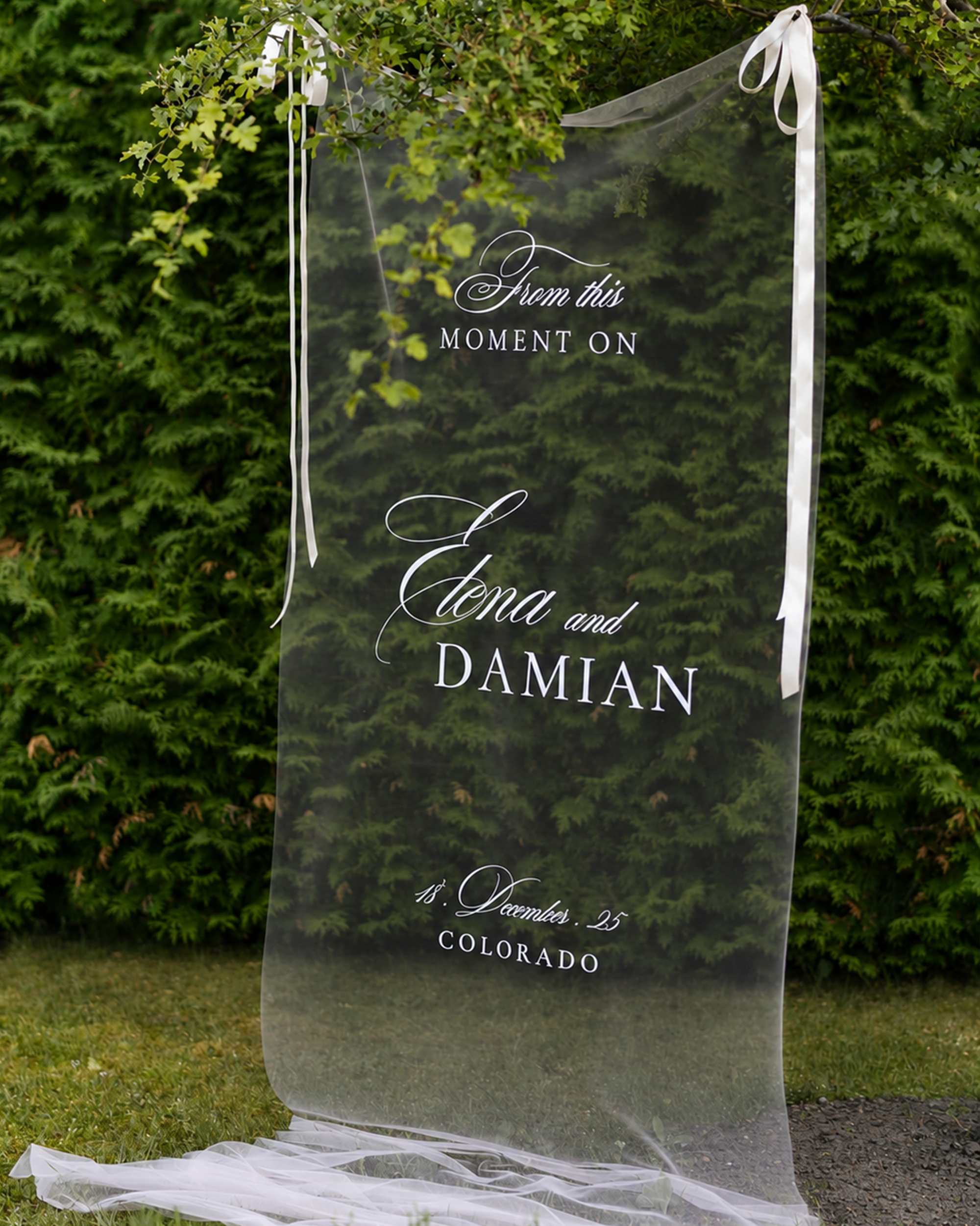 Elegant Sheer Wedding Welcome Sign "Elena & Damian"